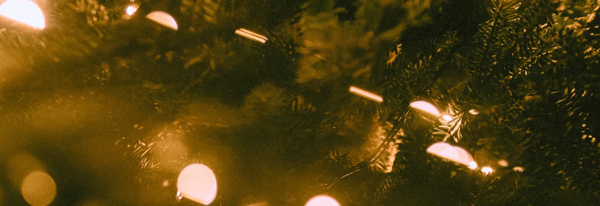 Let the Holiday Cheer Begin! Tap to see what’s Waiting.