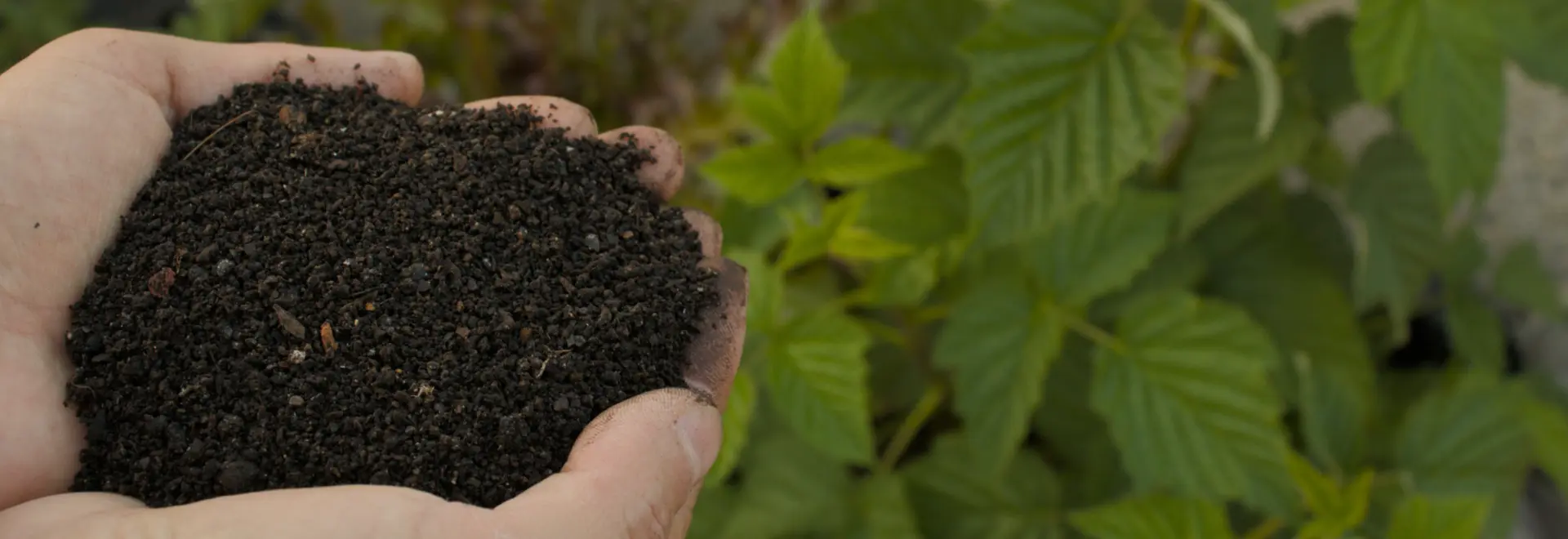 Great deals on compost and bark mulch, delivered locally.