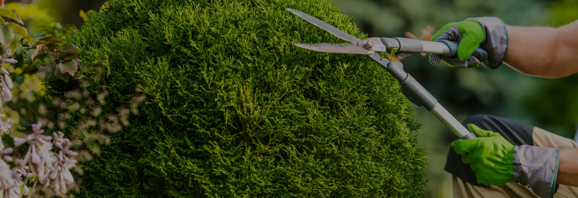 Every Great Garden Starts with the Right Tools