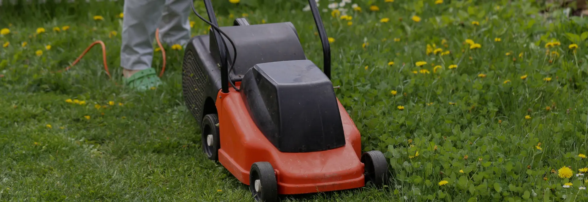 Grow a greener, healthier lawn this season 🌿