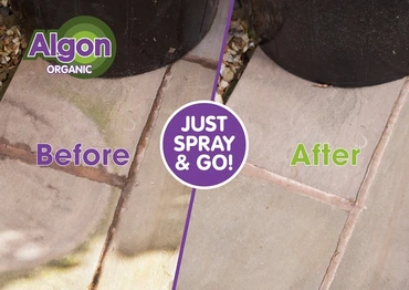 Algon Patio Cleaner - image 2