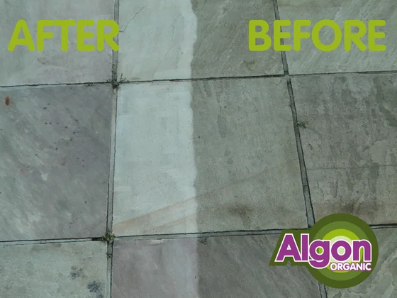 Algon Patio Cleaner - image 3