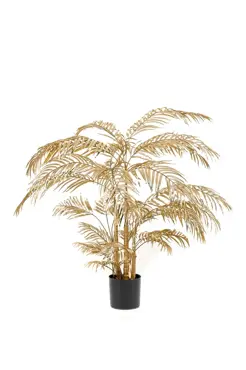 Areca Palm Gold 145cm/31lvs