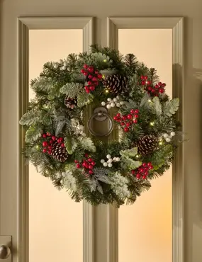 Argento Prelit 26" Wreath - image 3