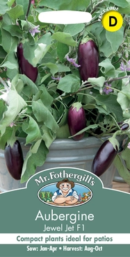 Aubergine Jewel Jet F1 - image 1