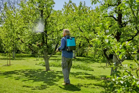 Backpack sprayer 12 L - image 2