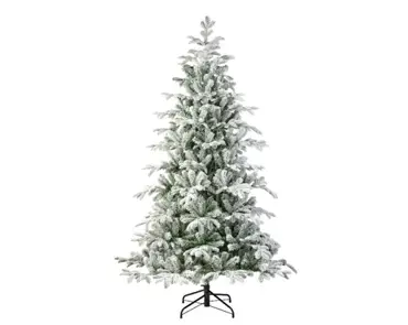 Balsamea Fir Snowy 7ft/210cm