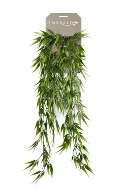 Bamboo Hanging Bush  75cm