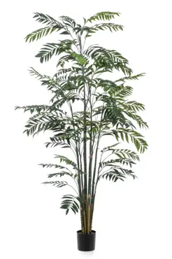 Bamboo Palm 245cm - image 1