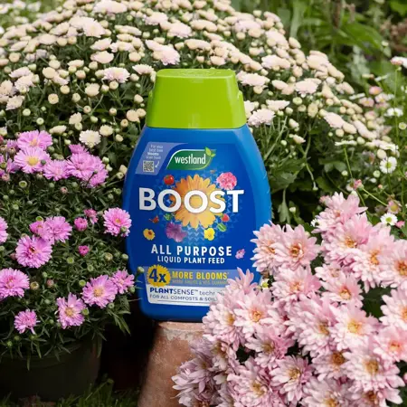 Boost All Purpose Liquid Plant Feed - image 3