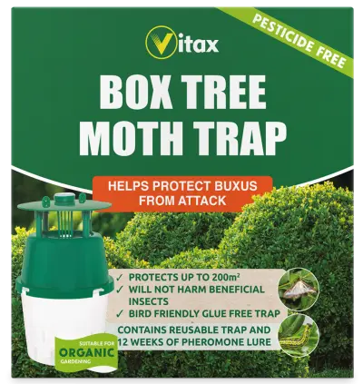 Box Tree Moth Trap (1 Trap) - image 1