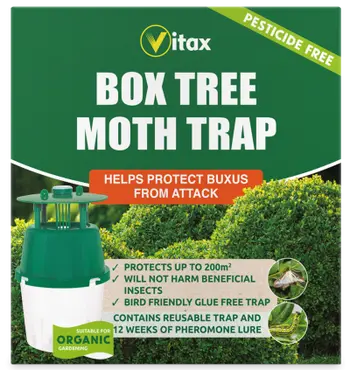 Box Tree Moth Trap (1 Trap) - image 1