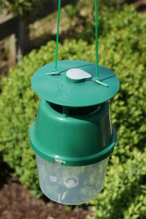 Box Tree Moth Trap (1 Trap) - image 2