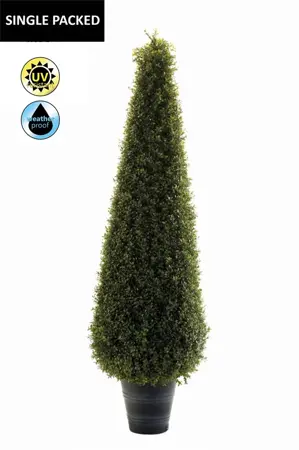 Boxwood Pyramid 135cm