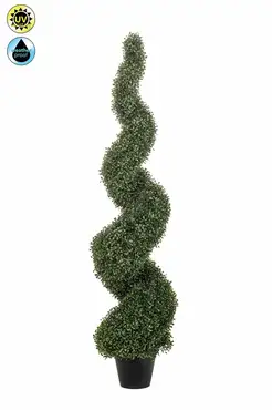 Boxwood Spiral Uv 150cm