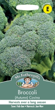 Broccoli (Autumn)  Covina - image 1