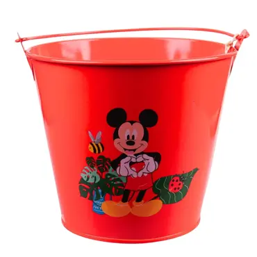 Bucket Mickey