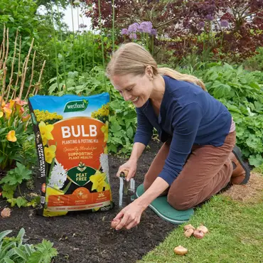 Bulb Planting & Potting Mix - image 2