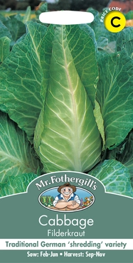 Cabbage Filderkraut - image 1