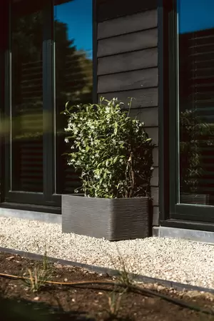 Capi Anthracite Nature Rib NL Rectangular Planter 81L - image 2