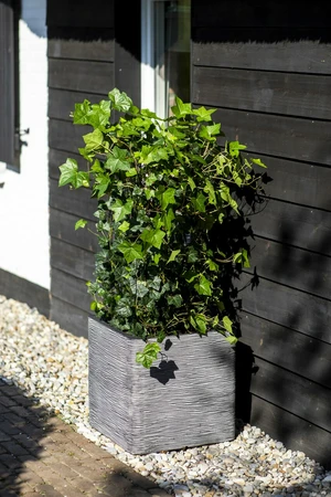 Capi Anthracite Nature Rib NL Square Planter 57L - image 3