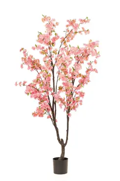 Cherry Blossom Tree Pink 210cm