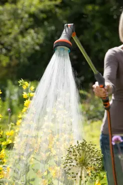 Comfort Hanging Basket Spray Lance - image 4