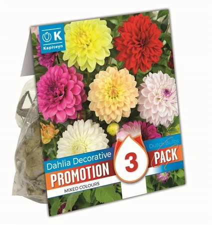 Dahlia Dec Karma Pink & Orange X 3 