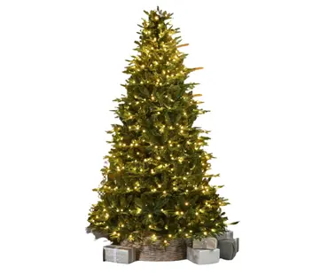 Deluxe Grays Peak Pine Prelit Tree 8ft/240cm