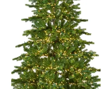 Galloway Spruce Pre-lit 240cm/8ft - image 2