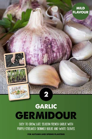 Garlic Germidour