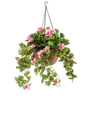 Geranium In Hanging Basket Uv Pink45cm