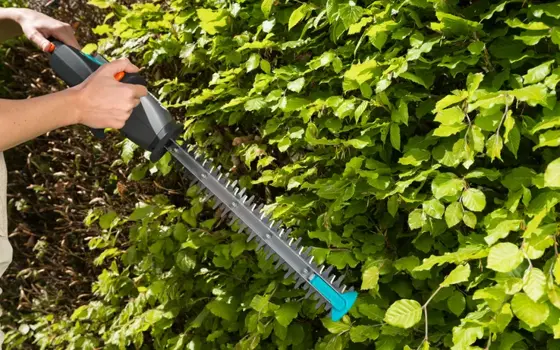 Hedge Trimmer Easycut Li, Gb - image 3