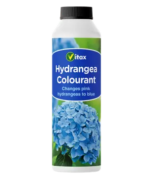 Hydrangea Colourant  250g