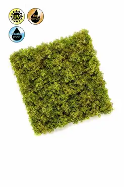 Iceland Moss Mat Uv/Fr 500cm - image 1