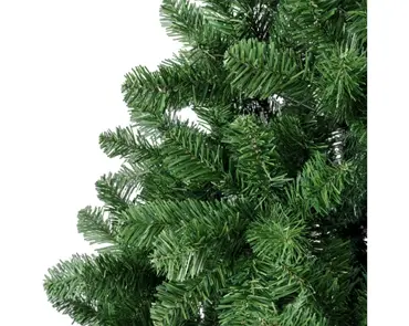 Imperial Pine 360cm/12ft - image 4