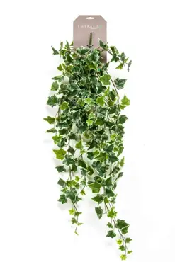 Ivy Hanging Bush 100cm Green/White