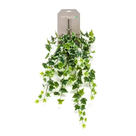 Ivy Hanging Bush 70 Cm Green/White