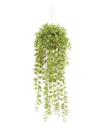 Ivy Hanging Bush Green 100cm