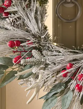 Jackfrost 26" Wreath - image 2