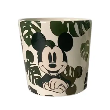 Medium Flower Pot Mickey