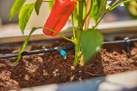 Micro Drip Irrigation Terrace Set - image 7