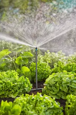 Micro Drip Irrigation Veg/Flower Set - image 4