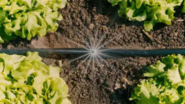 Micro Drip Irrigation Veg/Flower Set - image 3