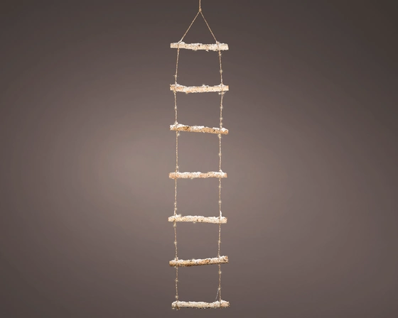 Micro Led Ladder Wood Steady Bo Indoor