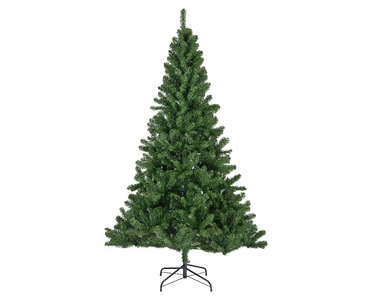 Monarch Pine 120cm/4ft - image 1