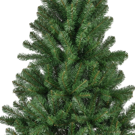 Monarch Pine 300cm/10ft - image 3