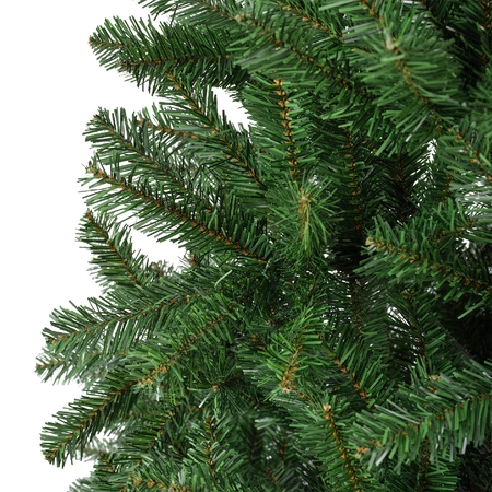 Monarch Pine 300cm/10ft - image 5