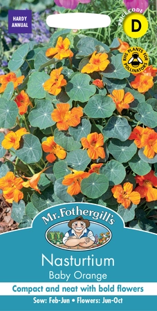 Nasturtium Baby Orange - image 1