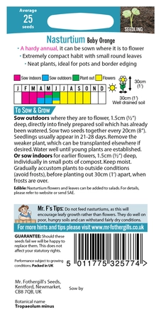 Nasturtium Baby Orange - image 4